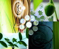 Why Mood Board
